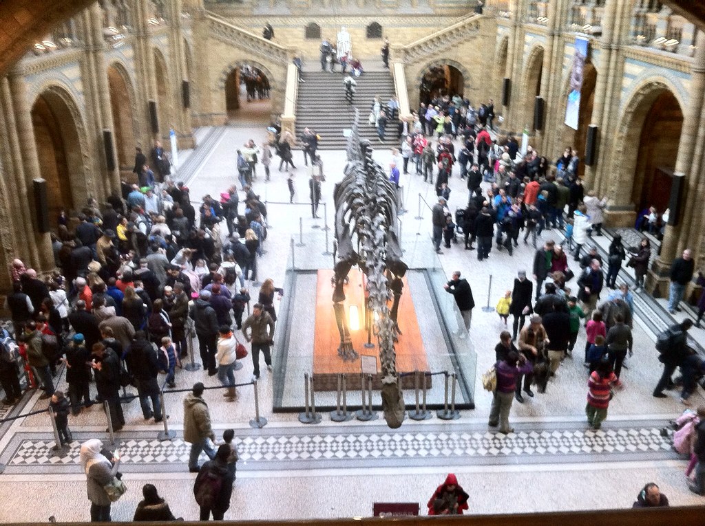 Μουσείο Φυσικής Ιστορίας